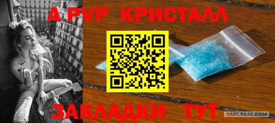 крисы Рыбинск